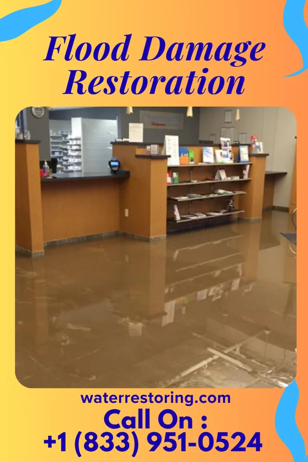 Flood Damage Restoration in Wintergreen, VA