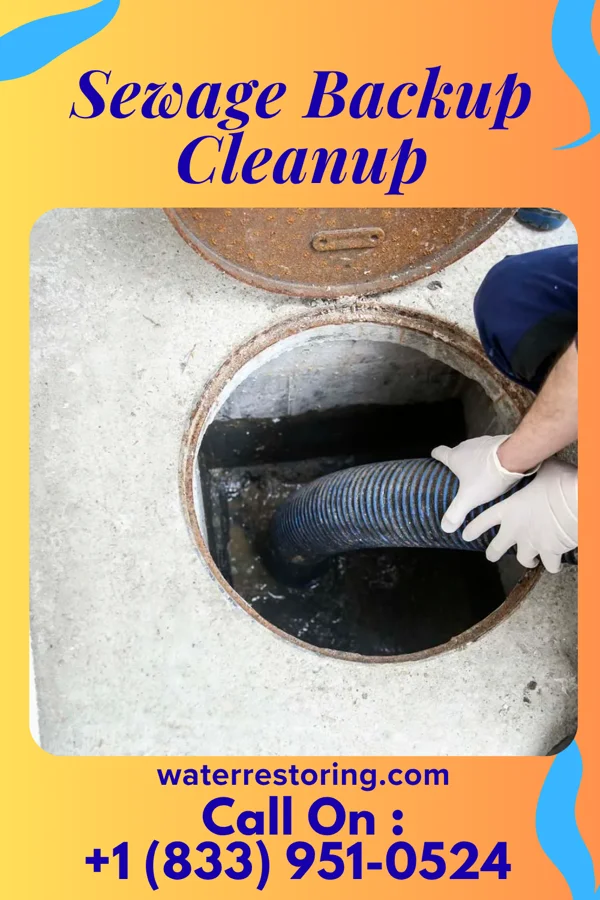 Sewage Backup Cleanup in Wintergreen, VA