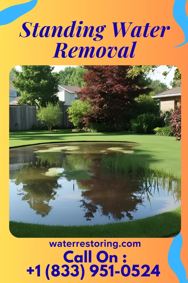 Standing Water Removal in Wintergreen, VA